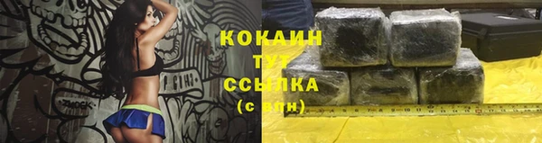 mdpv Медвежьегорск