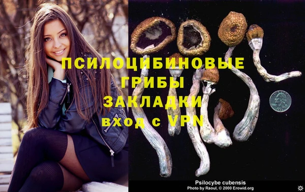 PSILOCYBIN Мегион