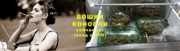 тгк Майский