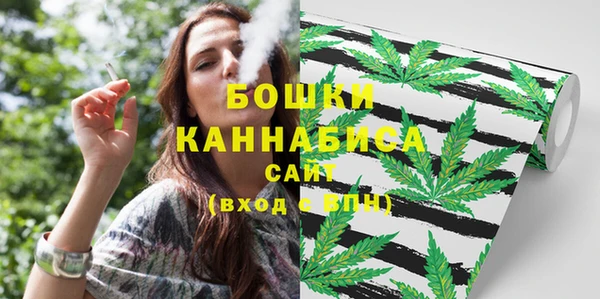 PSILOCYBIN Мегион