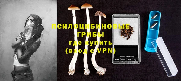 бошки Медногорск