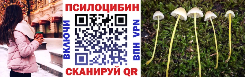 Псилоцибиновые грибы Psilocybe  Купить где  Староминская 
